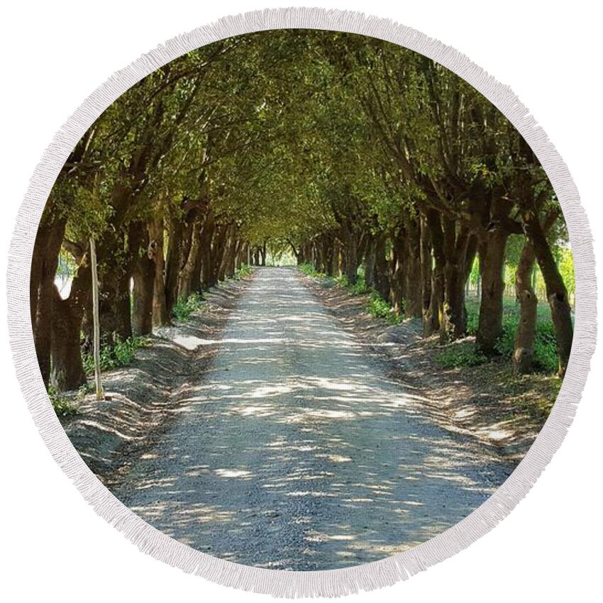 Tuscan Round Beach Towel featuring the photograph Tree Tunnel by Valentino Visentini