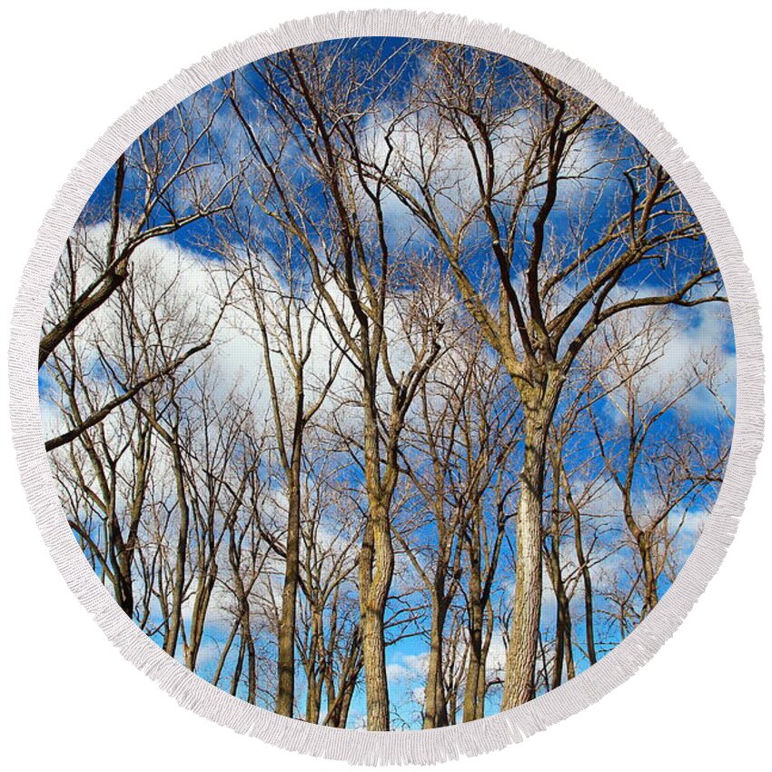 Winter Round Beach Towel featuring the photograph Trees and Clouds by Valentino Visentini
