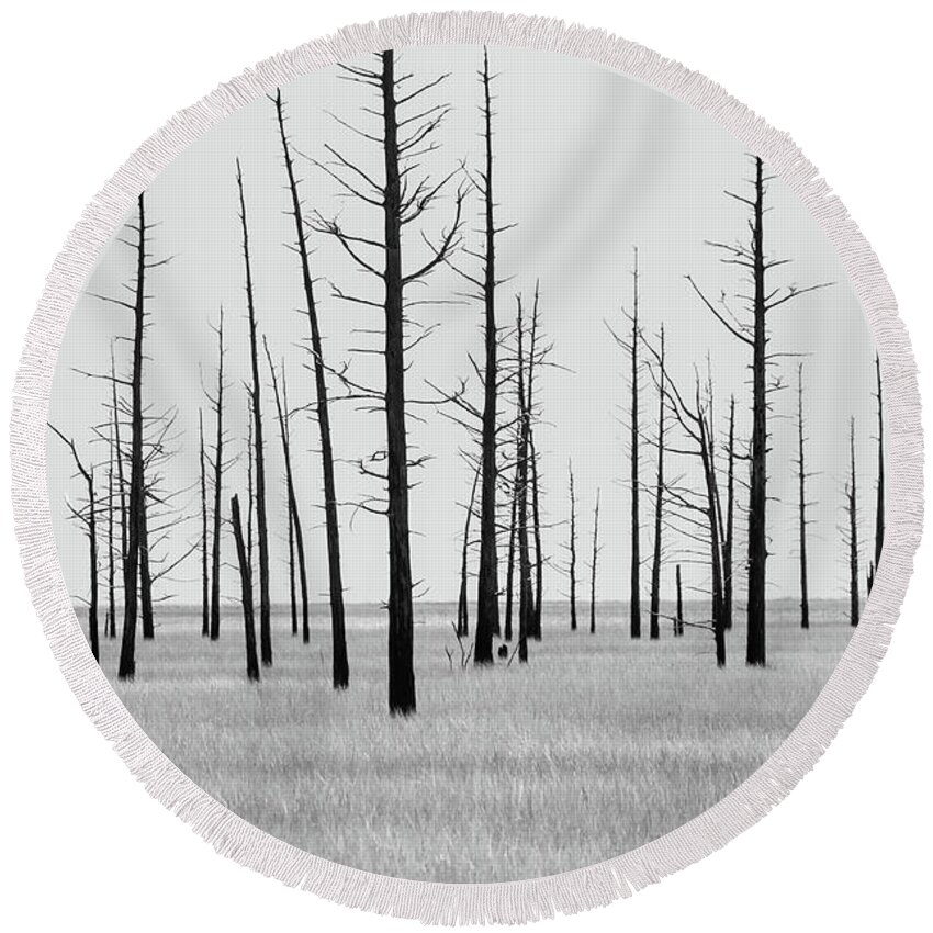 Landscape Round Beach Towel featuring the photograph Trees Die off by Louis Dallara