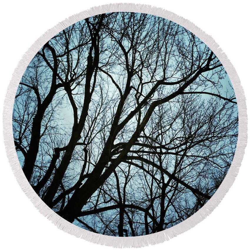 Tree Round Beach Towel featuring the photograph Trees silhouettes in moonlight by GoodMood Art