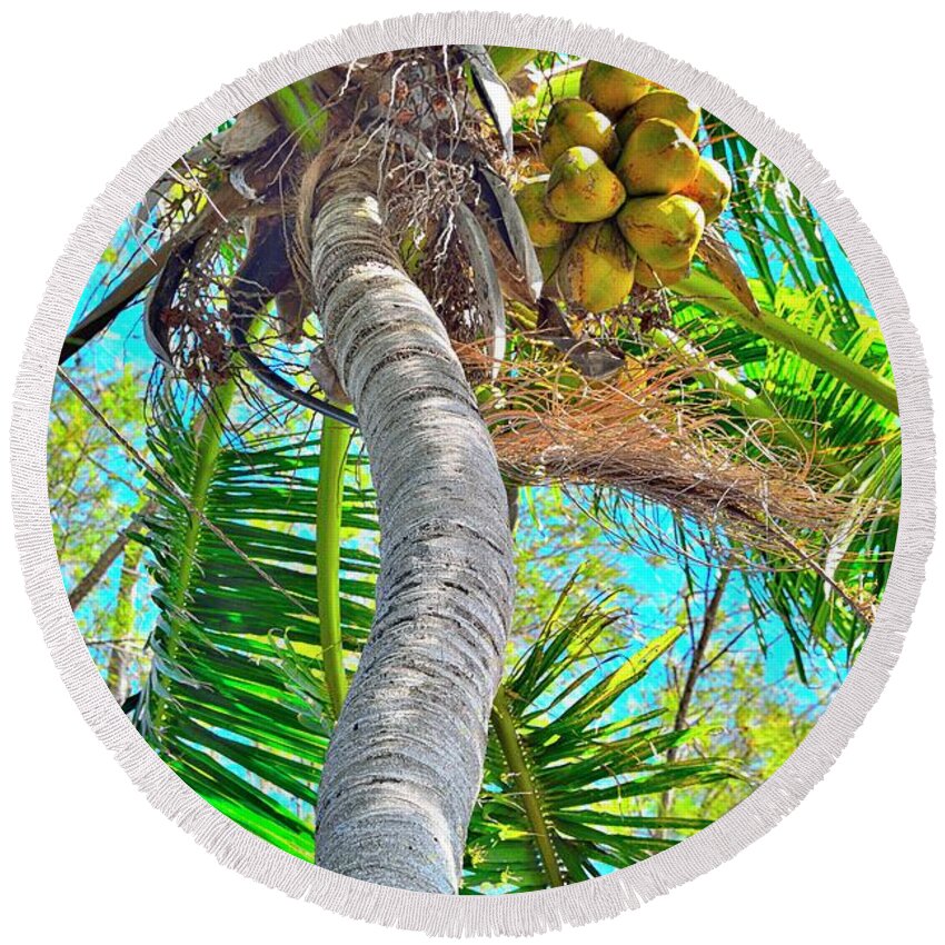 Coconut Palm Tree Round Beach Towel featuring the photograph Trunk Show by Alison Belsan Horton