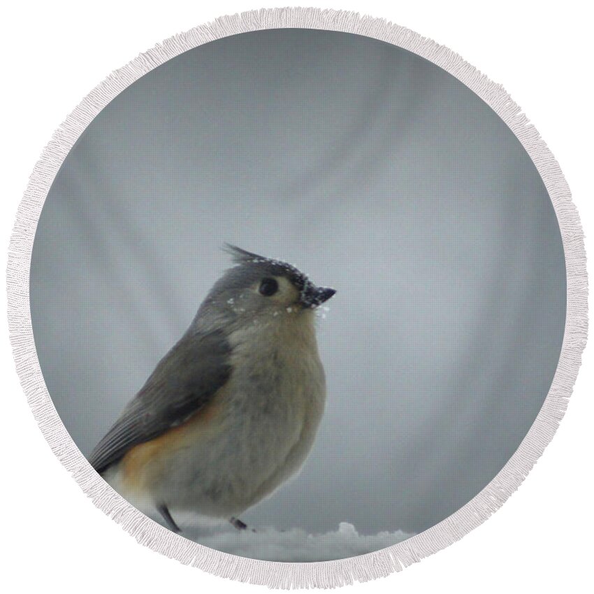 Snow Round Beach Towel featuring the photograph Tufted Titmouse in the Snow by Cricket Hackmann