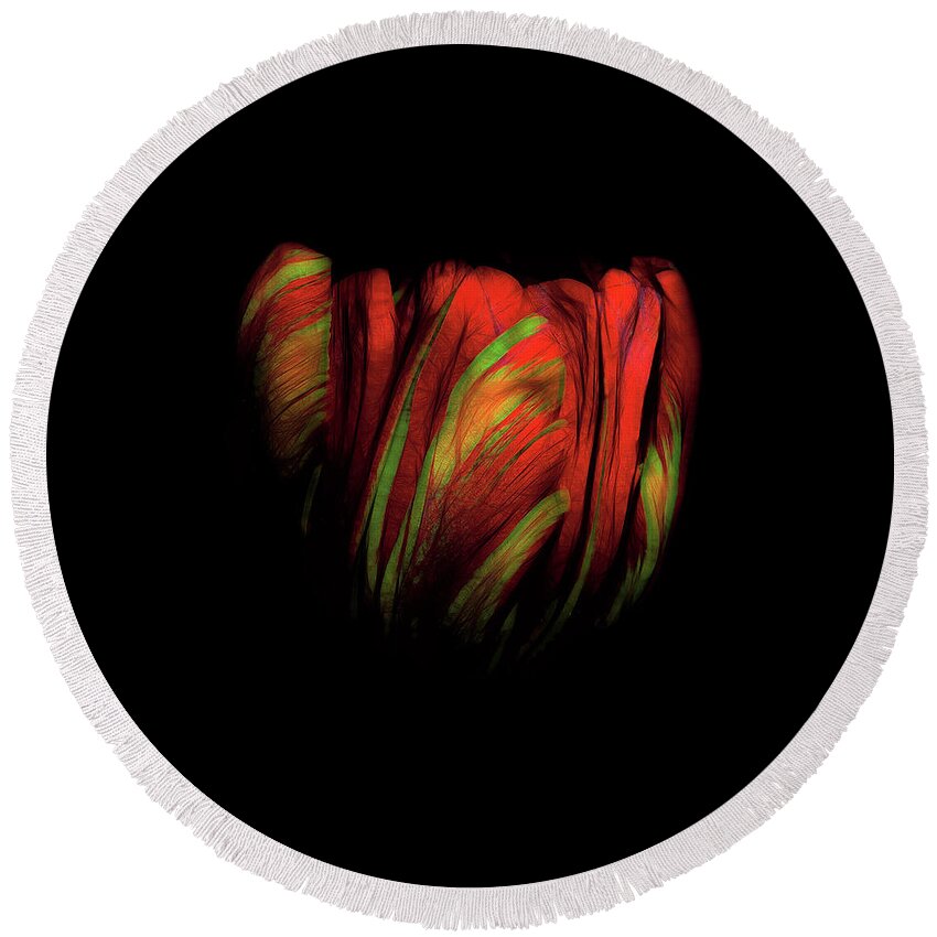 Tulip Round Beach Towel featuring the photograph Tulip Flower on Black Background Abstract by David Gn