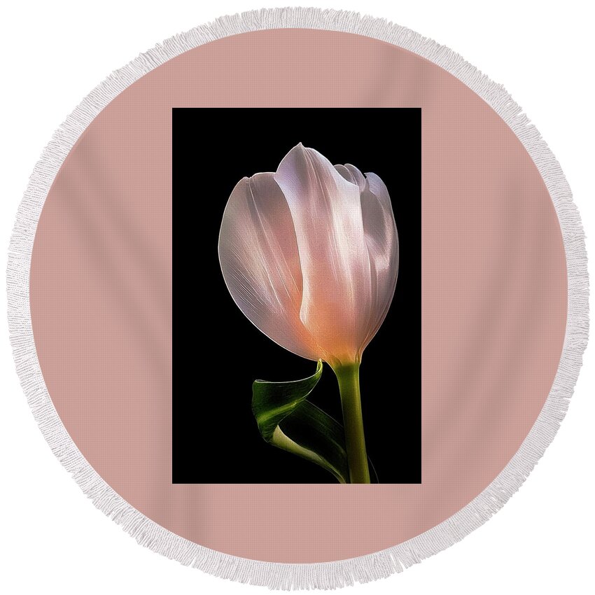 Tulip Round Beach Towel featuring the photograph Tulip in LIght by Phyllis Meinke