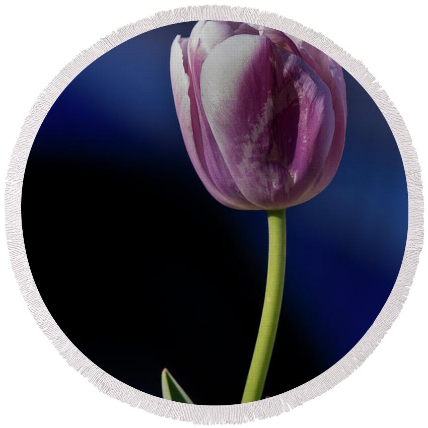 Tulips Round Beach Towel featuring the photograph Tulip by Jerry Gammon
