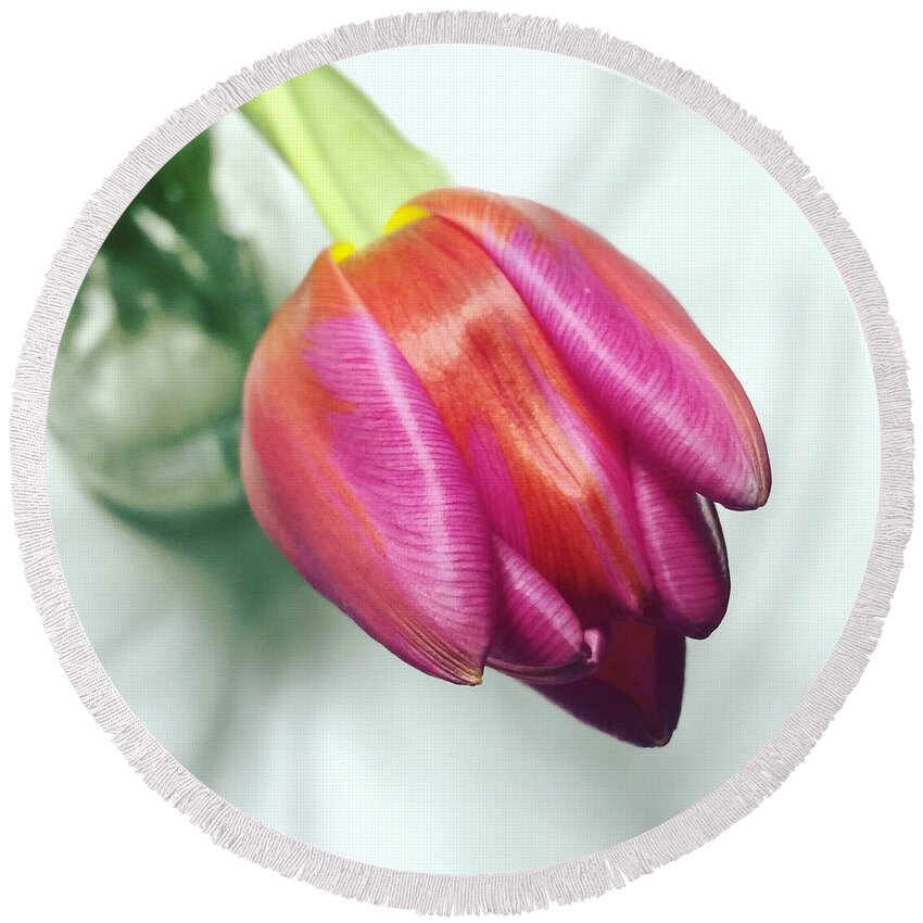  Round Beach Towel featuring the photograph Tulip by Missy Davis