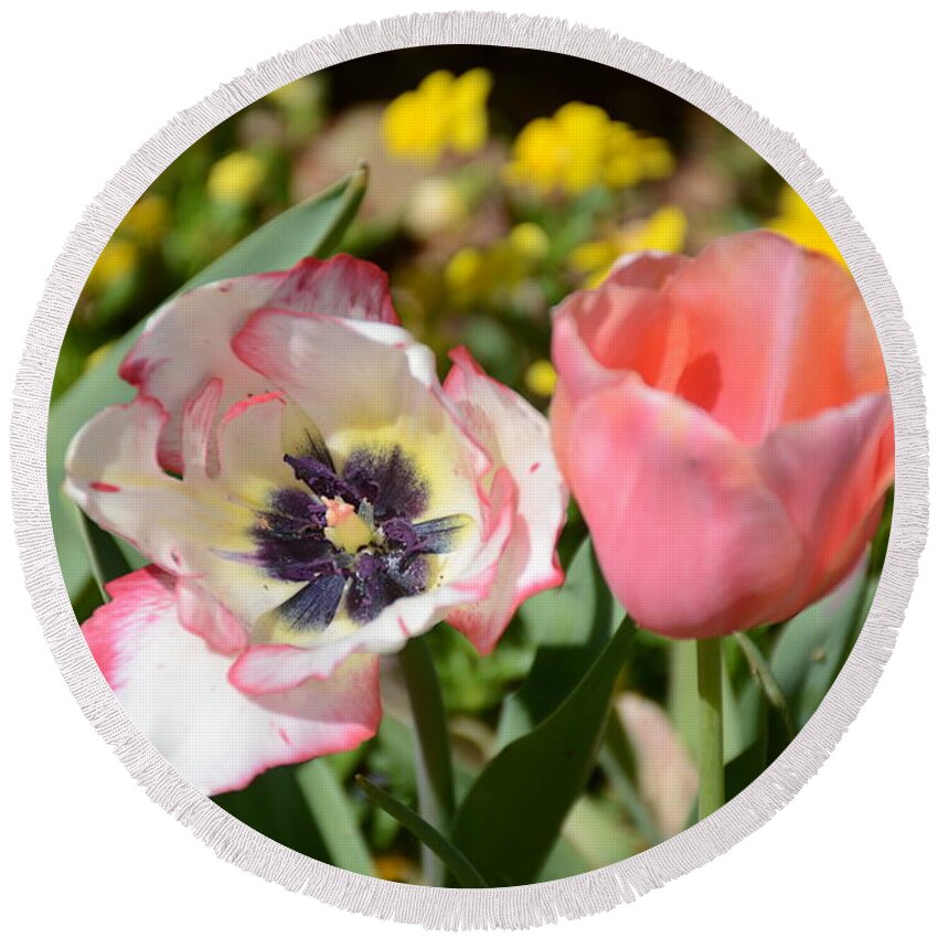  Round Beach Towel featuring the photograph Tulip Rare Beauty by Constance Woods