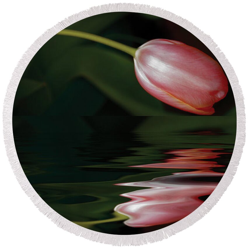Tulip Round Beach Towel featuring the photograph Tulip Reflections by Elaine Teague