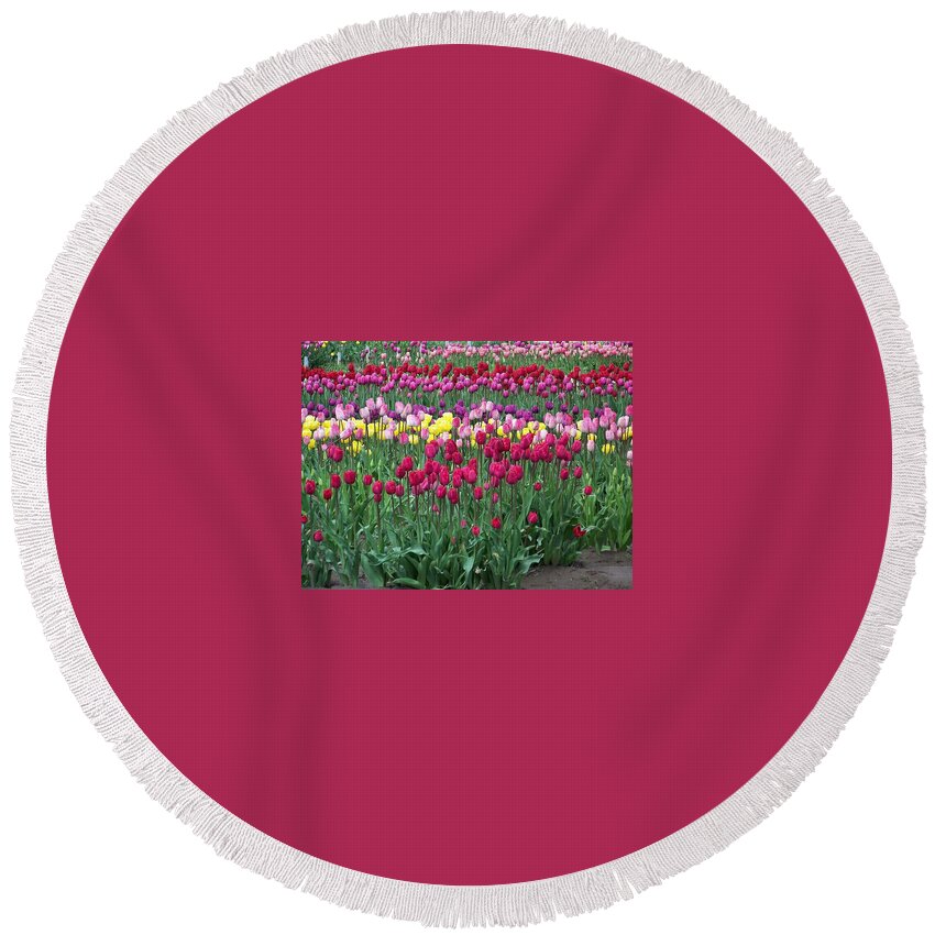 Tulips Round Beach Towel featuring the photograph Tulips for Mom by Julie Rauscher