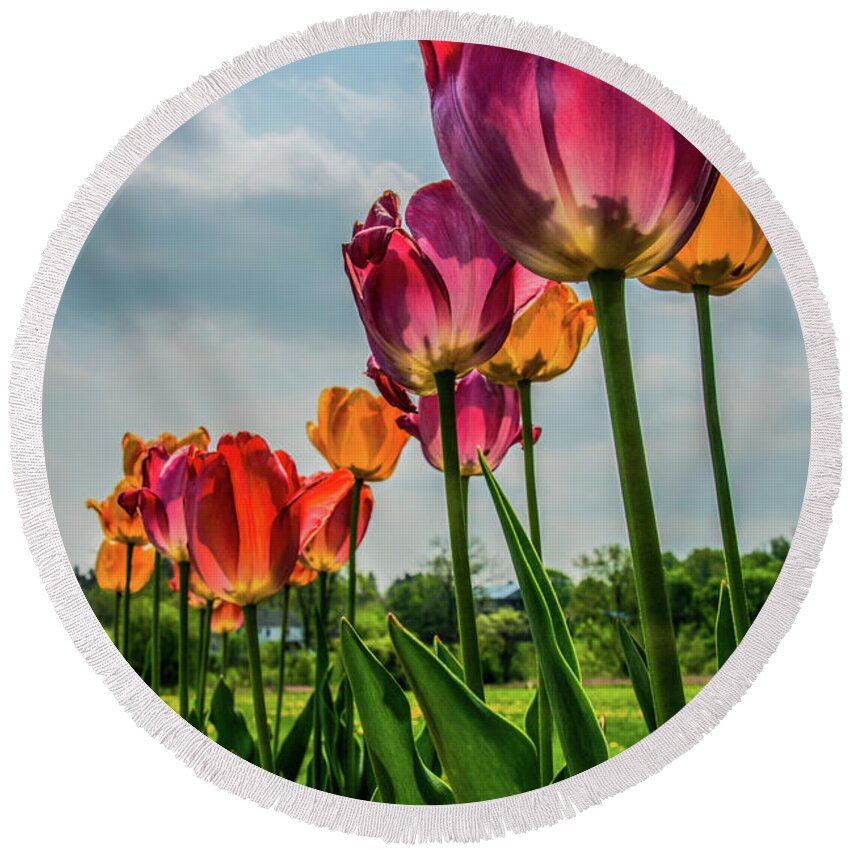 Nature Round Beach Towel featuring the photograph Tulips in the Spring by Jane Axman