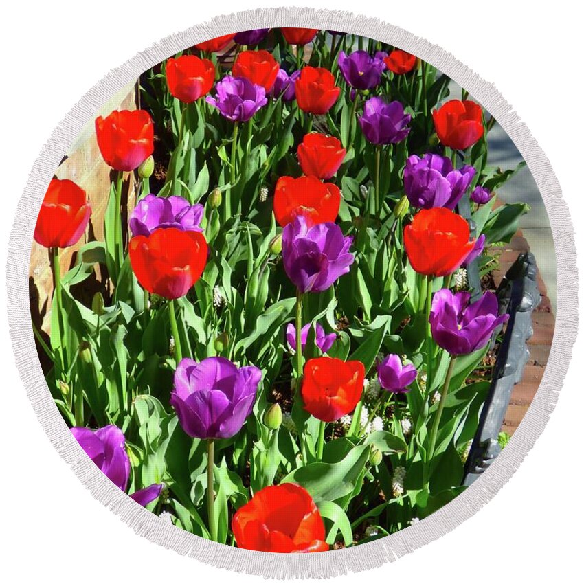 Tulip Round Beach Towel featuring the photograph Tulips by Jean Wright