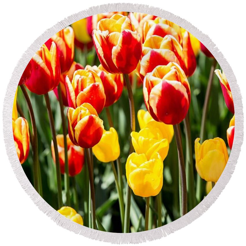Tulips Round Beach Towel featuring the digital art Tulips by Birdly Canada