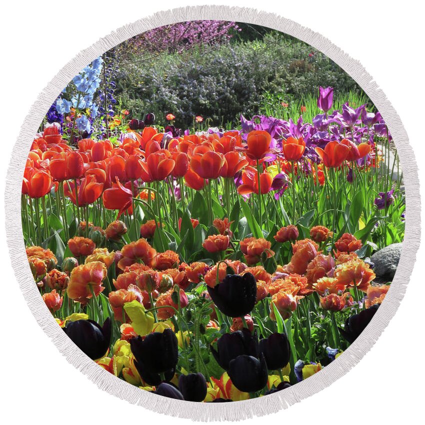 Tulips Round Beach Towel featuring the photograph Tulips, Tulips, Tulips and More by Helaine Cummins