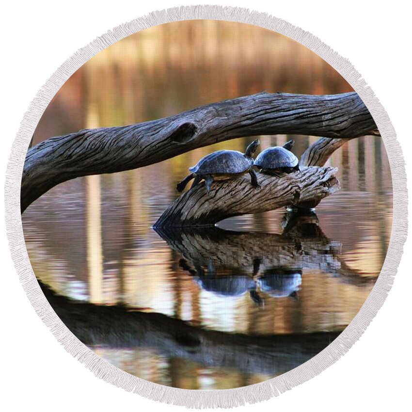 Round Beach Towel featuring the photograph Turtle Love by Elizabeth Harllee