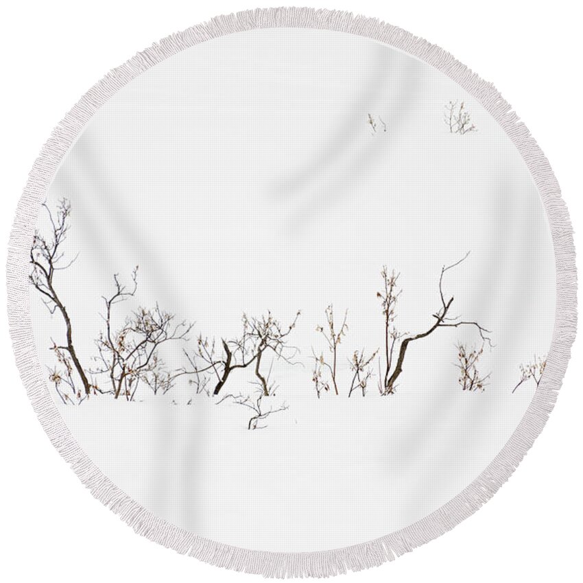 Twigs Round Beach Towel featuring the photograph Twigs in Snow by Bryan Carter