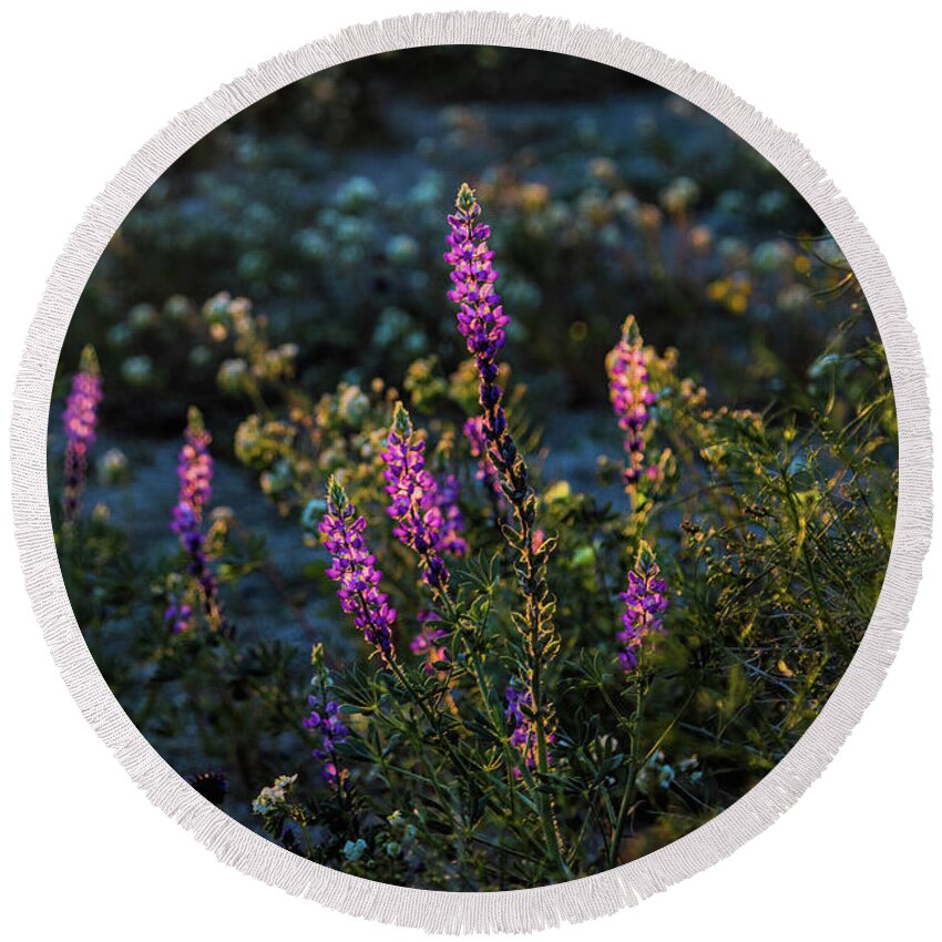 Landscape Round Beach Towel featuring the photograph Twilight Lupine by Laura Roberts