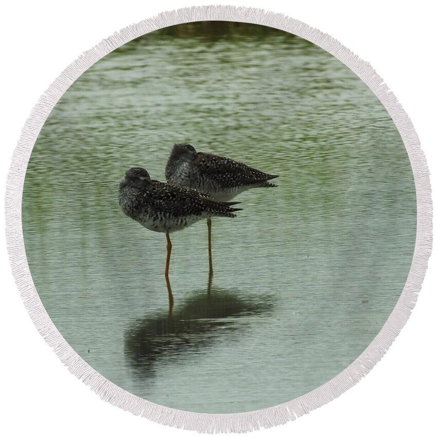 Birds Round Beach Towel featuring the photograph Two Birds In The Marsh by Jan Gelders