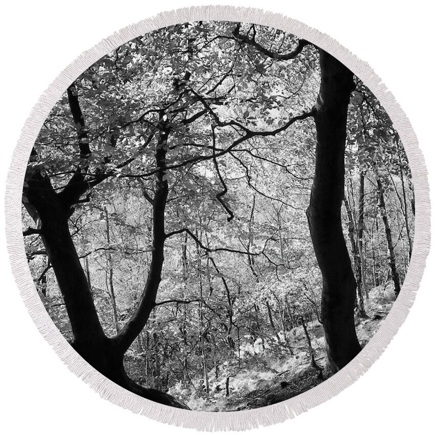 Trees Round Beach Towel featuring the photograph Two Monochrome Tress by Philip Openshaw
