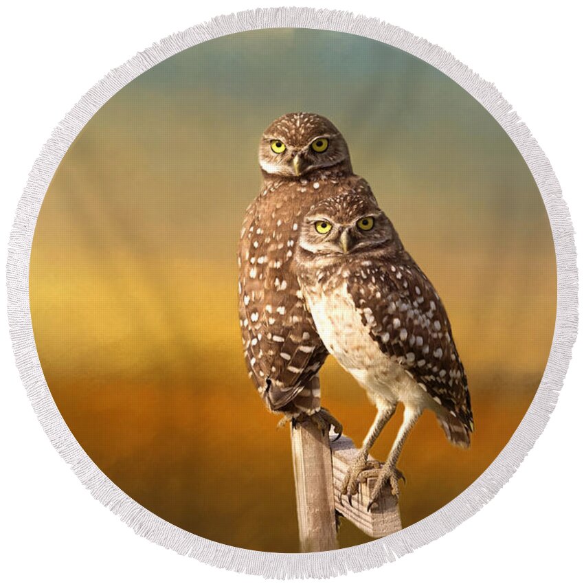 Burrowing Owl Round Beach Towels