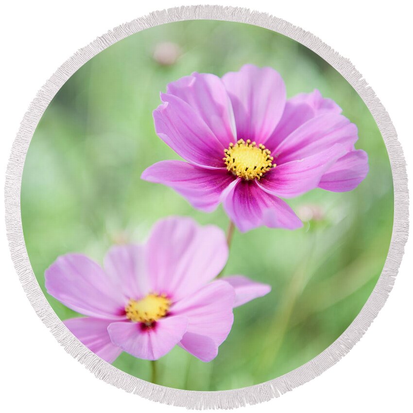 Two Round Beach Towel featuring the photograph Two Purple Cosmos Flowers by Helen Jackson