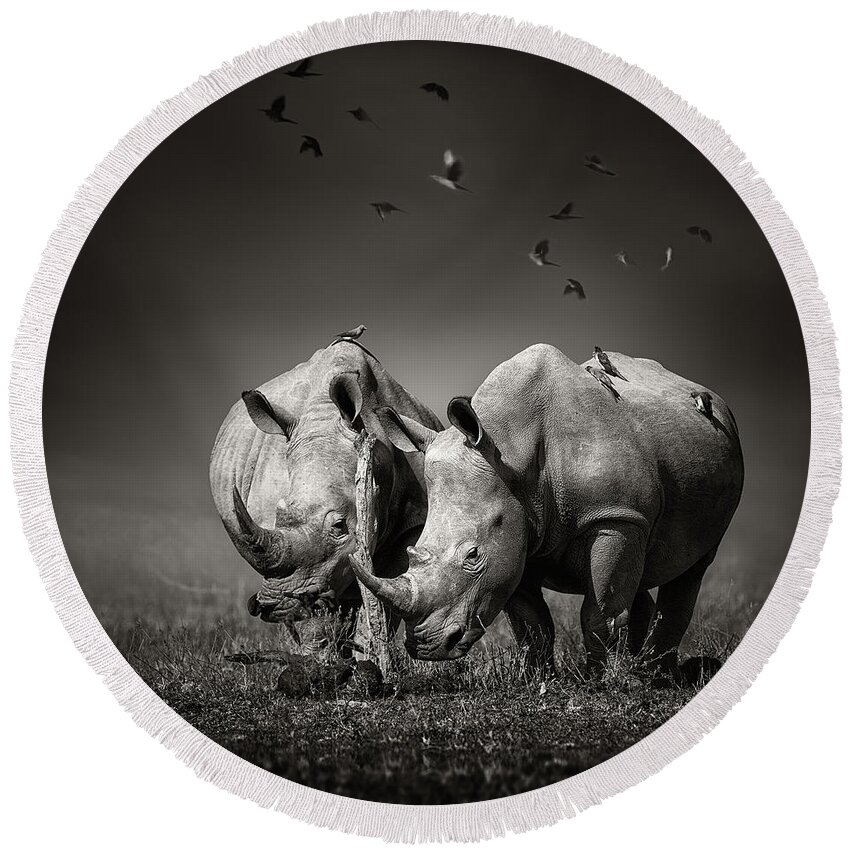 Rhinoceros Round Beach Towel featuring the photograph Two Rhinoceros with birds in BW by Johan Swanepoel