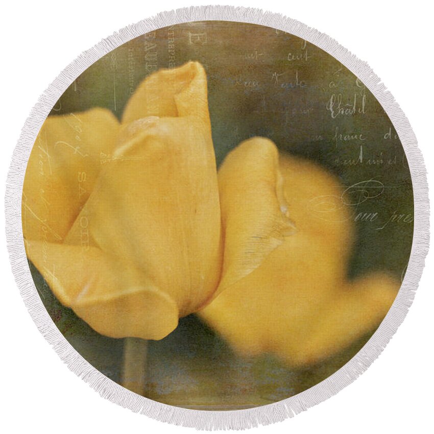 Yellow Round Beach Towel featuring the photograph Two Yellow Tulips by Maria Angelica Maira