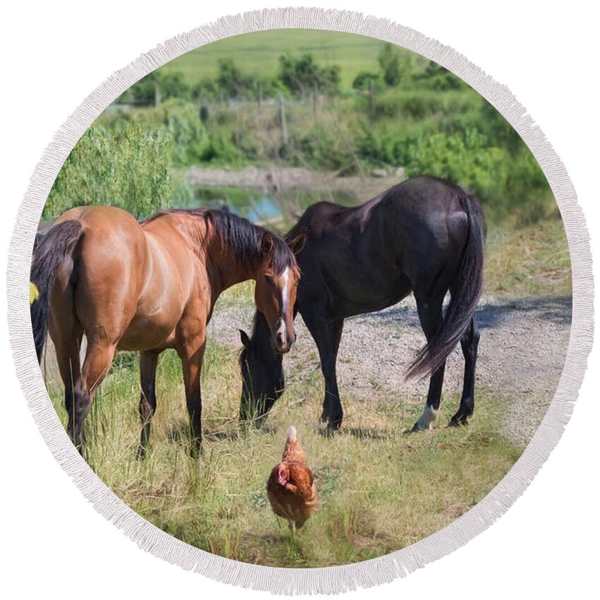 Horse Round Beach Towel featuring the photograph Two's Company by Robin-Lee Vieira