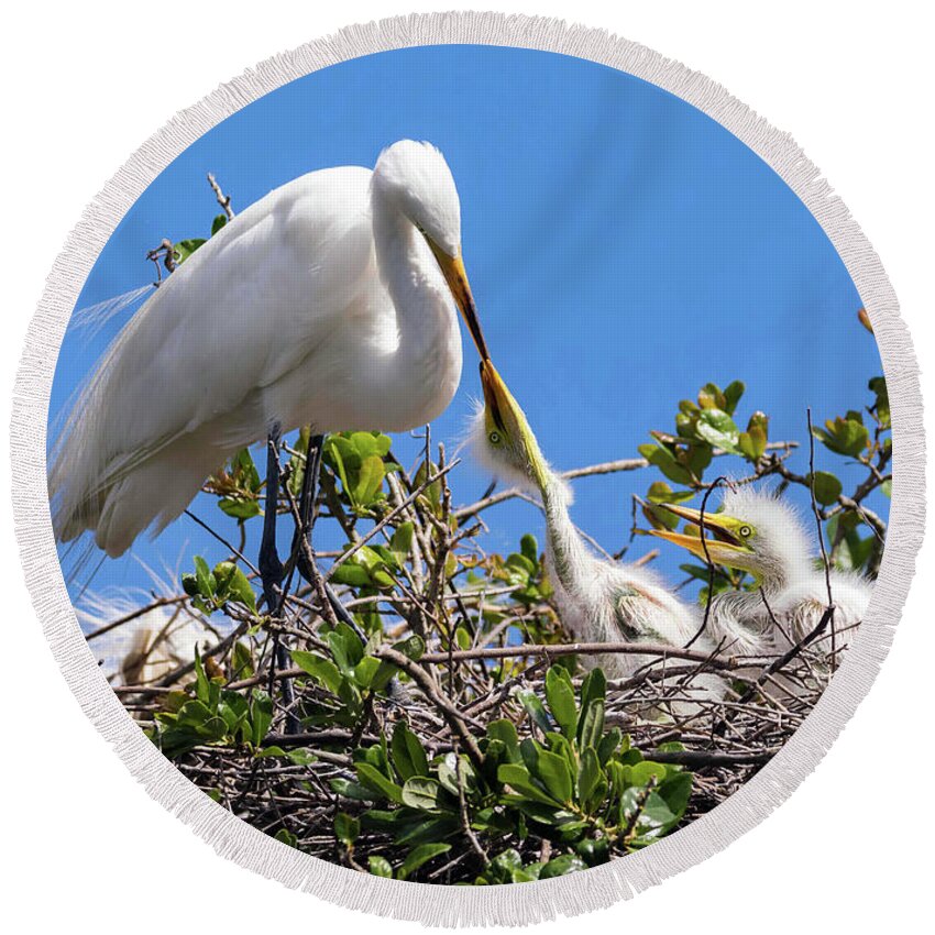 Egrets Round Beach Towel featuring the photograph Unconditional Love by DB Hayes