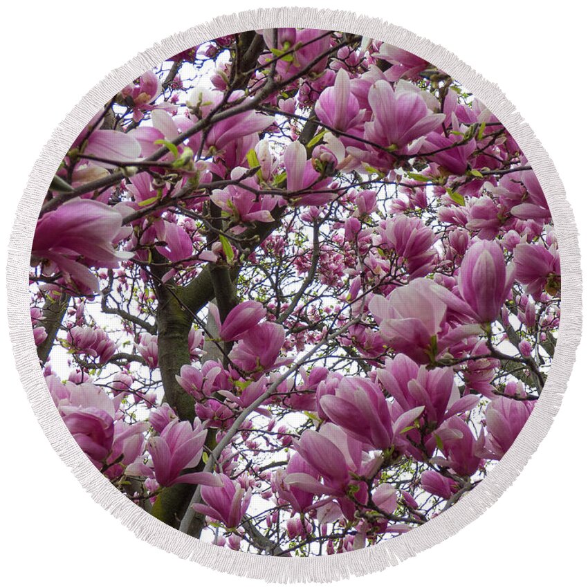 Tulip Tree Round Beach Towel featuring the photograph Under The Tulip Tree by Leslie Montgomery