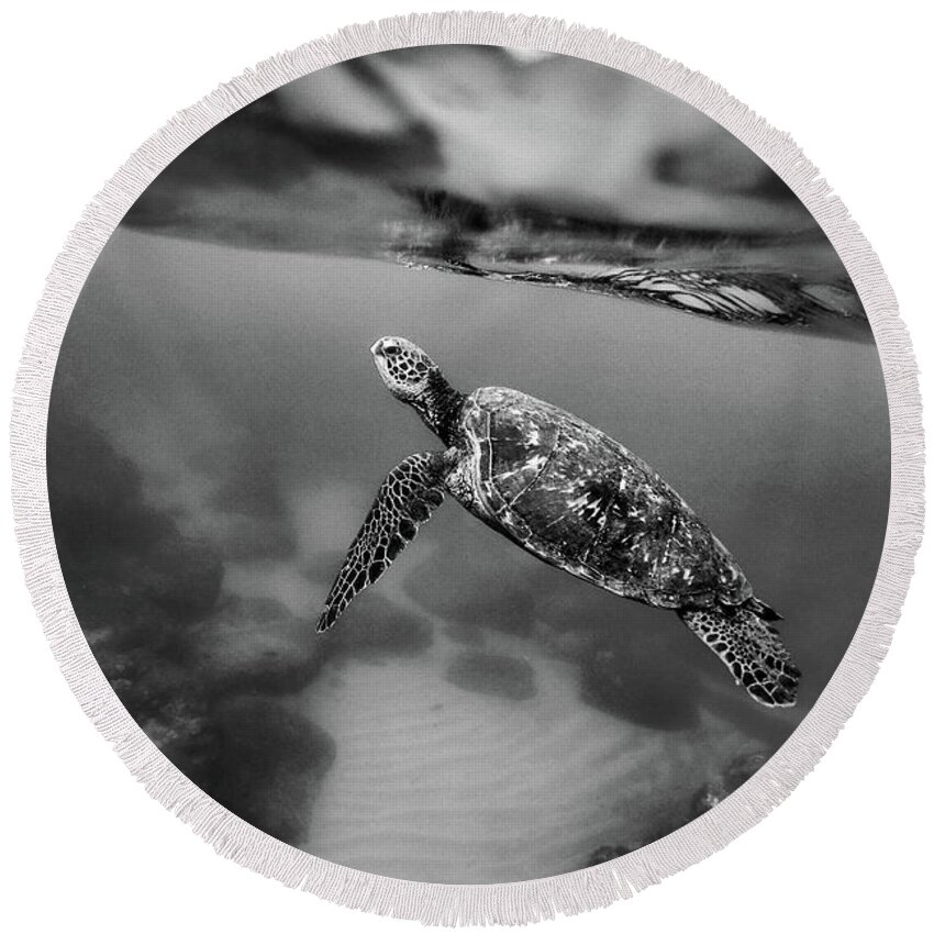 Sea Turtle Round Beach Towel featuring the photograph Under the Wave by Sebastian Musial