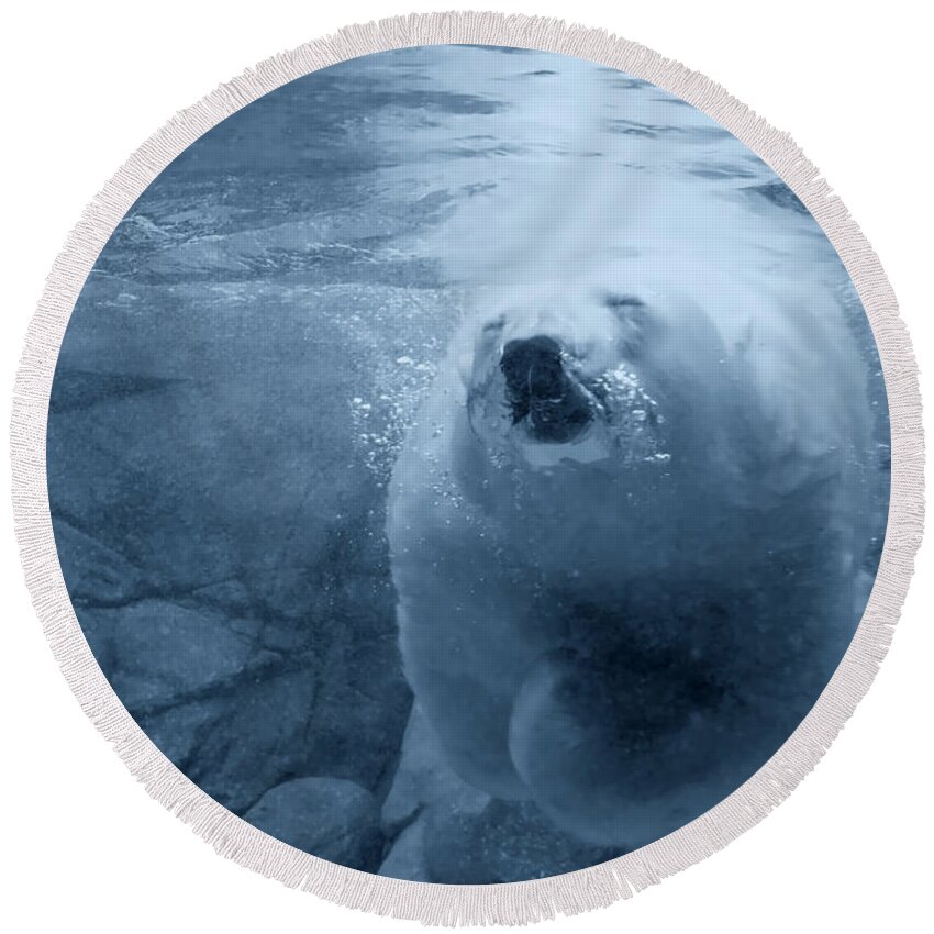 Polar Bear Round Beach Towel featuring the photograph Underwater Playground by Douglas Barnard