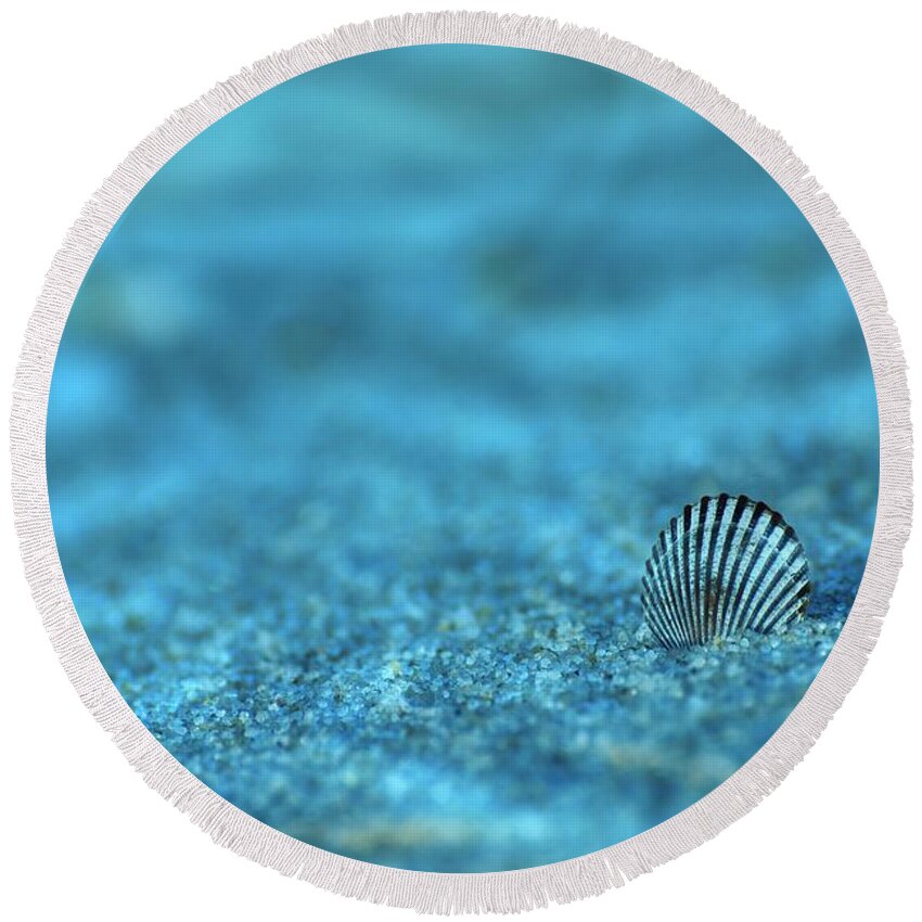 Seashells Round Beach Towel featuring the photograph Underwater Seashell - Jersey Shore by Angie Tirado