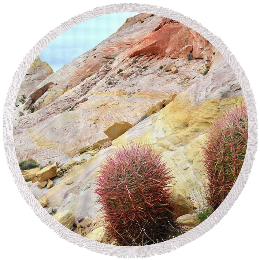 Valley Of Fire State Park Round Beach Towel featuring the photograph Valley of Fire Barrel Cactus by Ray Mathis