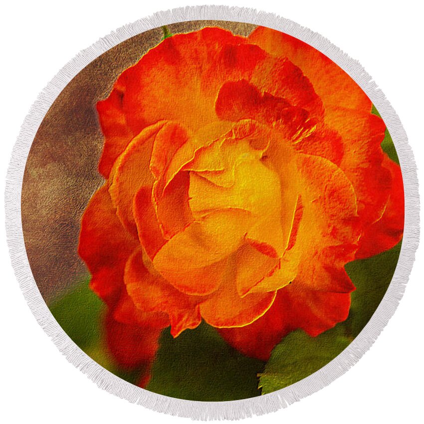 Variegated Round Beach Towel featuring the photograph Variegated Beauty - Rose Floral by Barry Jones