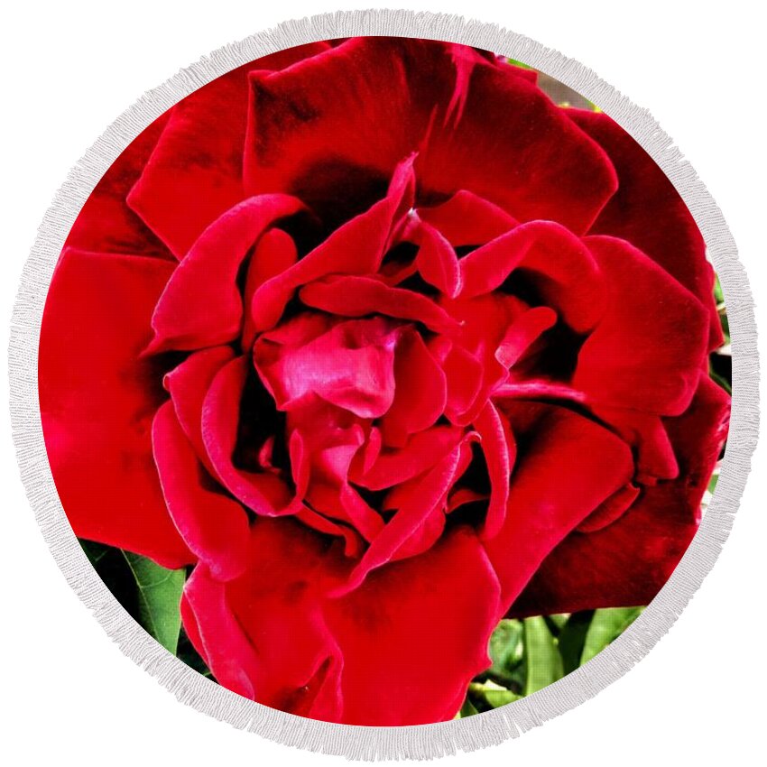 Red Rose Round Beach Towel featuring the photograph Velvet Red Rose by Joan-Violet Stretch