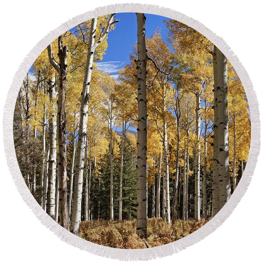 Aspen Trees Round Beach Towel featuring the photograph Vibrancy of Autumn III by Leda Robertson