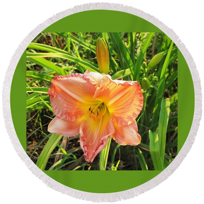 Day Lily Round Beach Towel featuring the photograph Vibrant Daylilly by Pam Davis