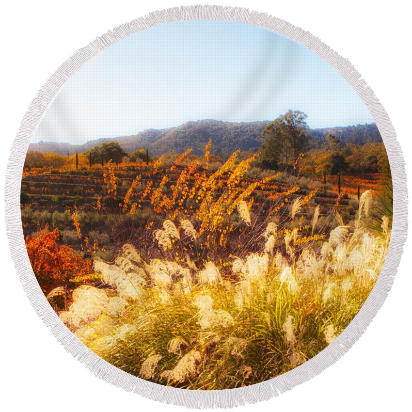 Vineyard Round Beach Towel featuring the photograph Vineyard Afternoon by Mike-Hope by Michael Hope