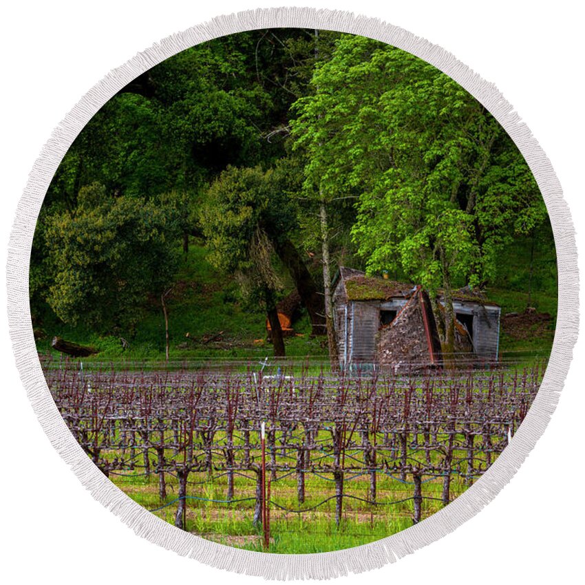 Old Round Beach Towel featuring the photograph Vineyard by Bruce Bottomley