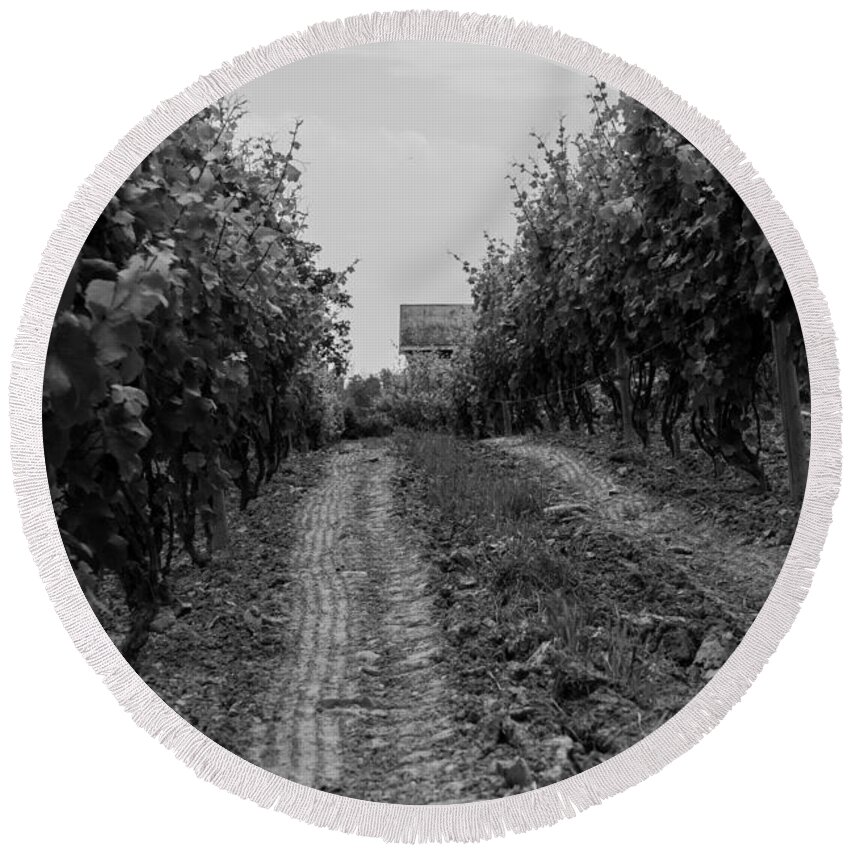 Vineyard Round Beach Towel featuring the photograph vineyard of old BW by Photographic Arts And Design Studio