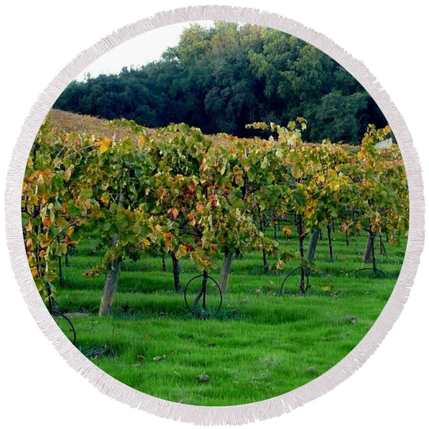 Vineyards Round Beach Towel featuring the photograph Vineyards in California by Charlene Mitchell