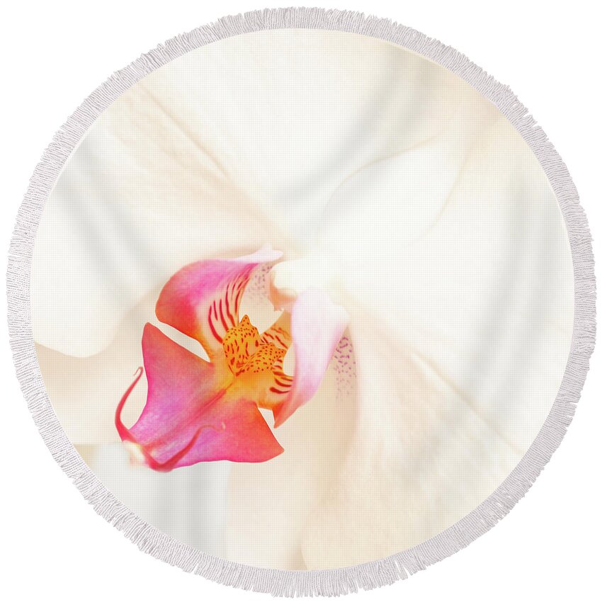White Orchid Round Beach Towel featuring the photograph White orchid by Delphimages Photo Creations
