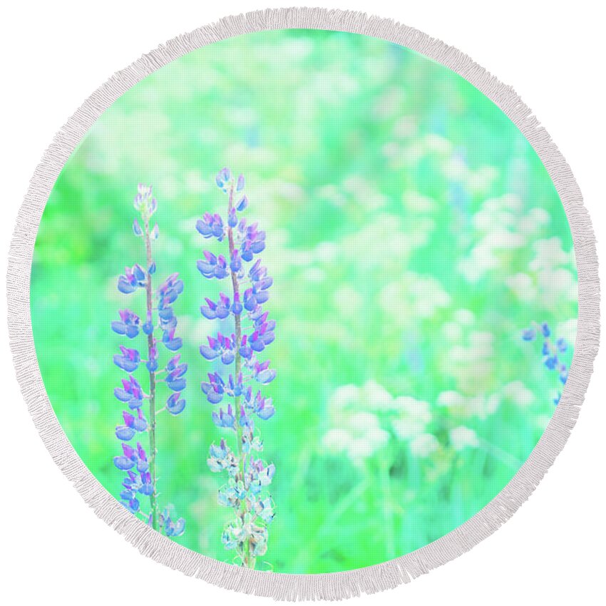 Forest Round Beach Towel featuring the photograph Violet Lupine Lane by Anastasy Yarmolovich