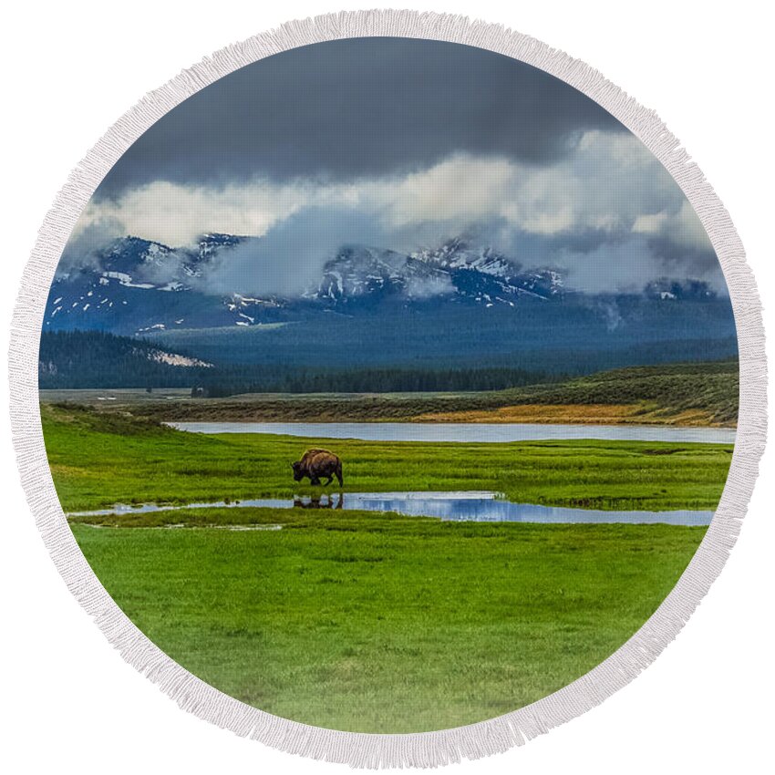 Hayden Valley Round Beach Towel featuring the photograph Walking The Big Valley by Yeates Photography