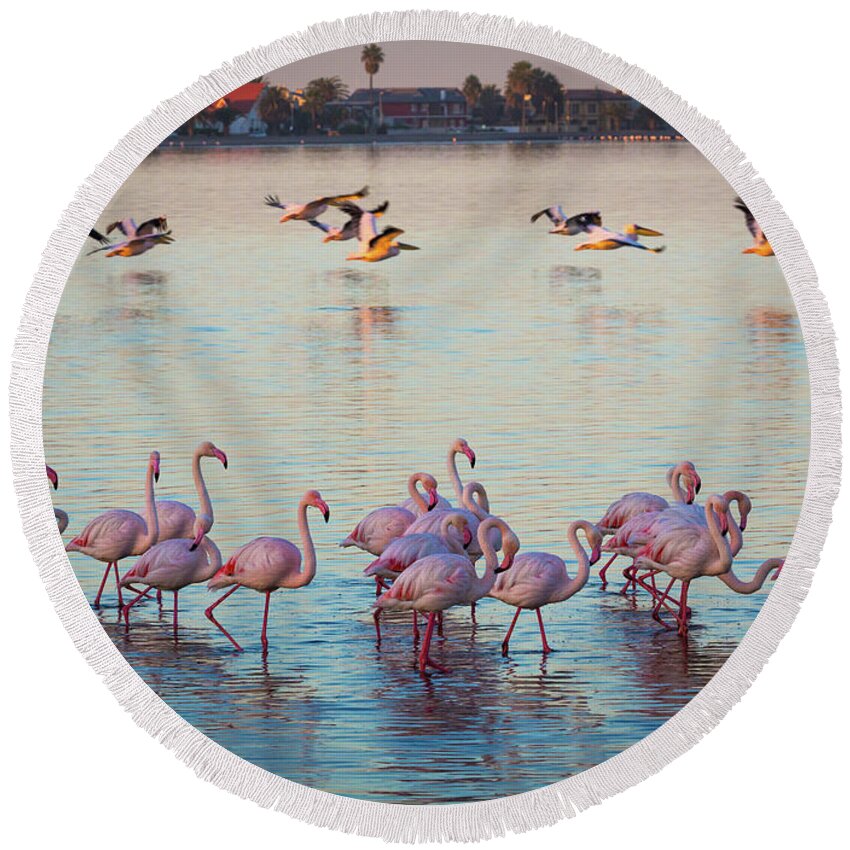 Africa Round Beach Towel featuring the photograph Walvis Bay Flamingos by Inge Johnsson