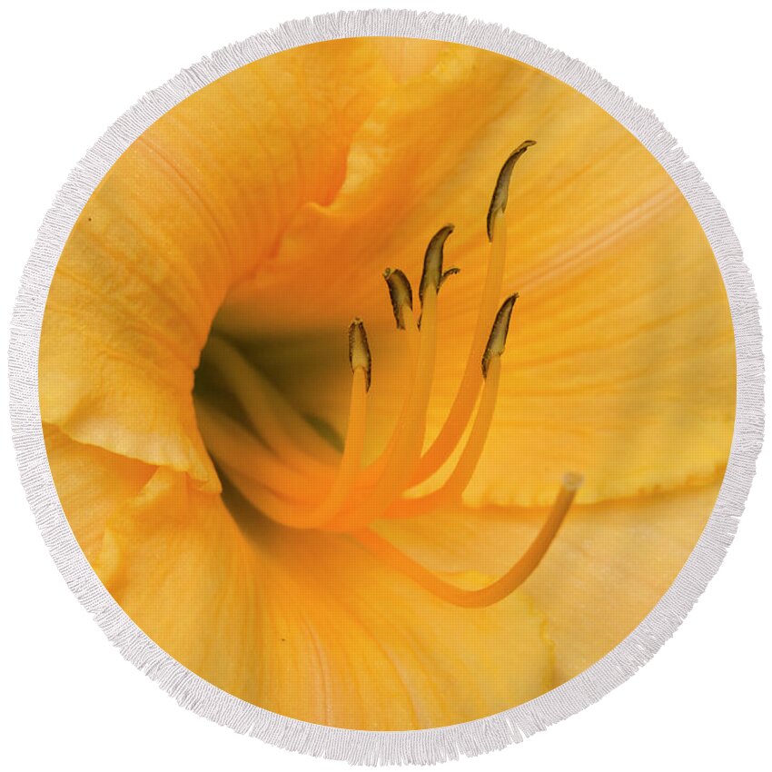 Flower Round Beach Towel featuring the photograph Warm Thoughts by Jon Munson II