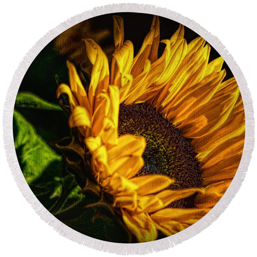Hdr Round Beach Towel featuring the photograph Warmth of the Sunflower by Michael Hope