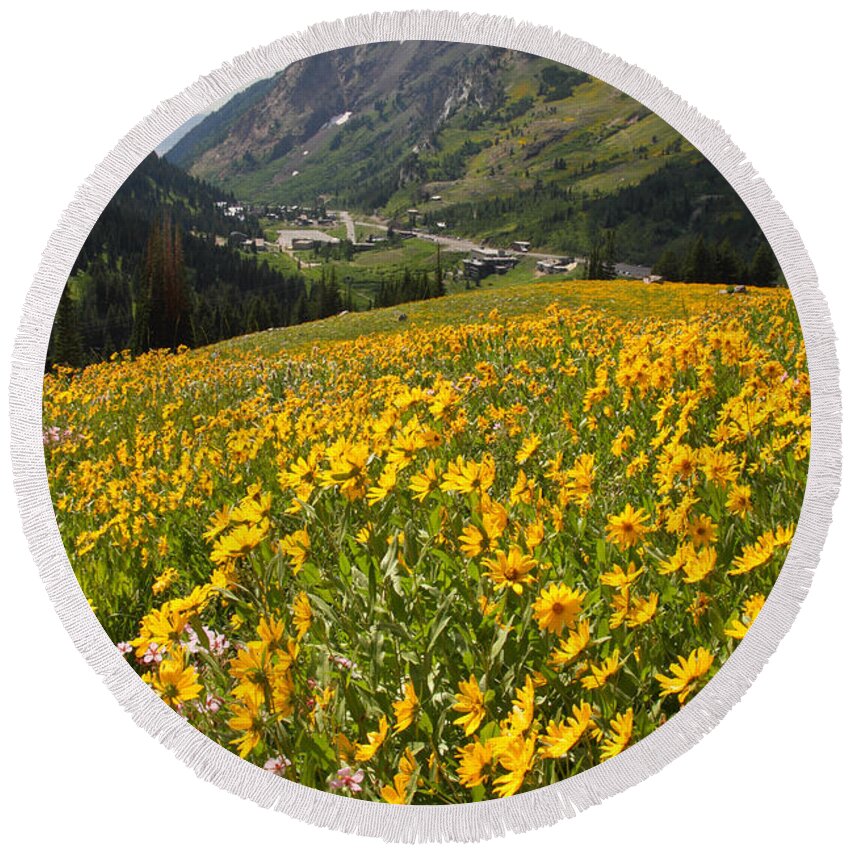 Landscape Round Beach Towel featuring the photograph Wasatch Wildflowers by Brett Pelletier