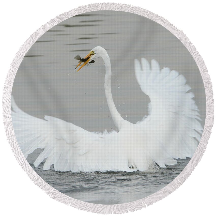 Great Egret Round Beach Towel featuring the photograph Water Dance by Fraida Gutovich