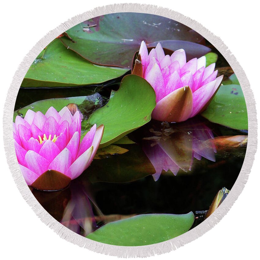 Water Lilies Round Beach Towel featuring the photograph Water Lilies by Anthony Jones